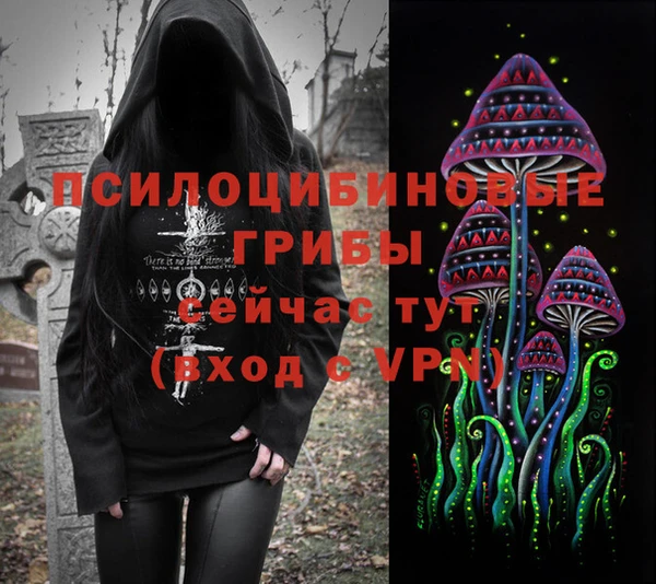 дмт Заволжье