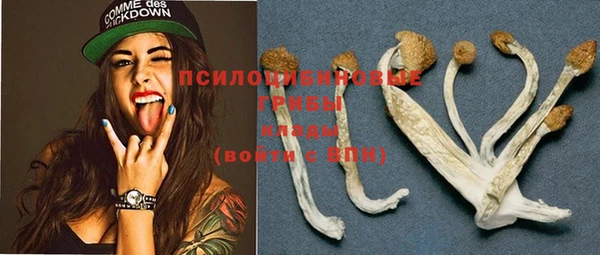 spice Заволжск