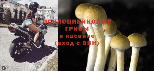 дмт Заволжье
